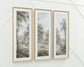 Dixonburg Wall Art Set (3/CN)